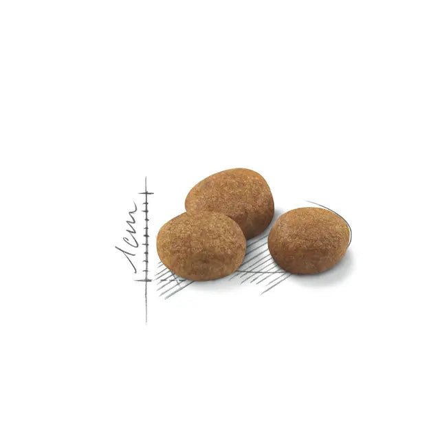 רויאל קנין חתול סטרילייזד 7+ 3.5 ק"ג