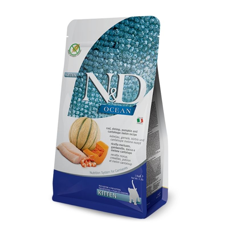ND אושן קוד דלעת מלון חתלתולים 5 קילו