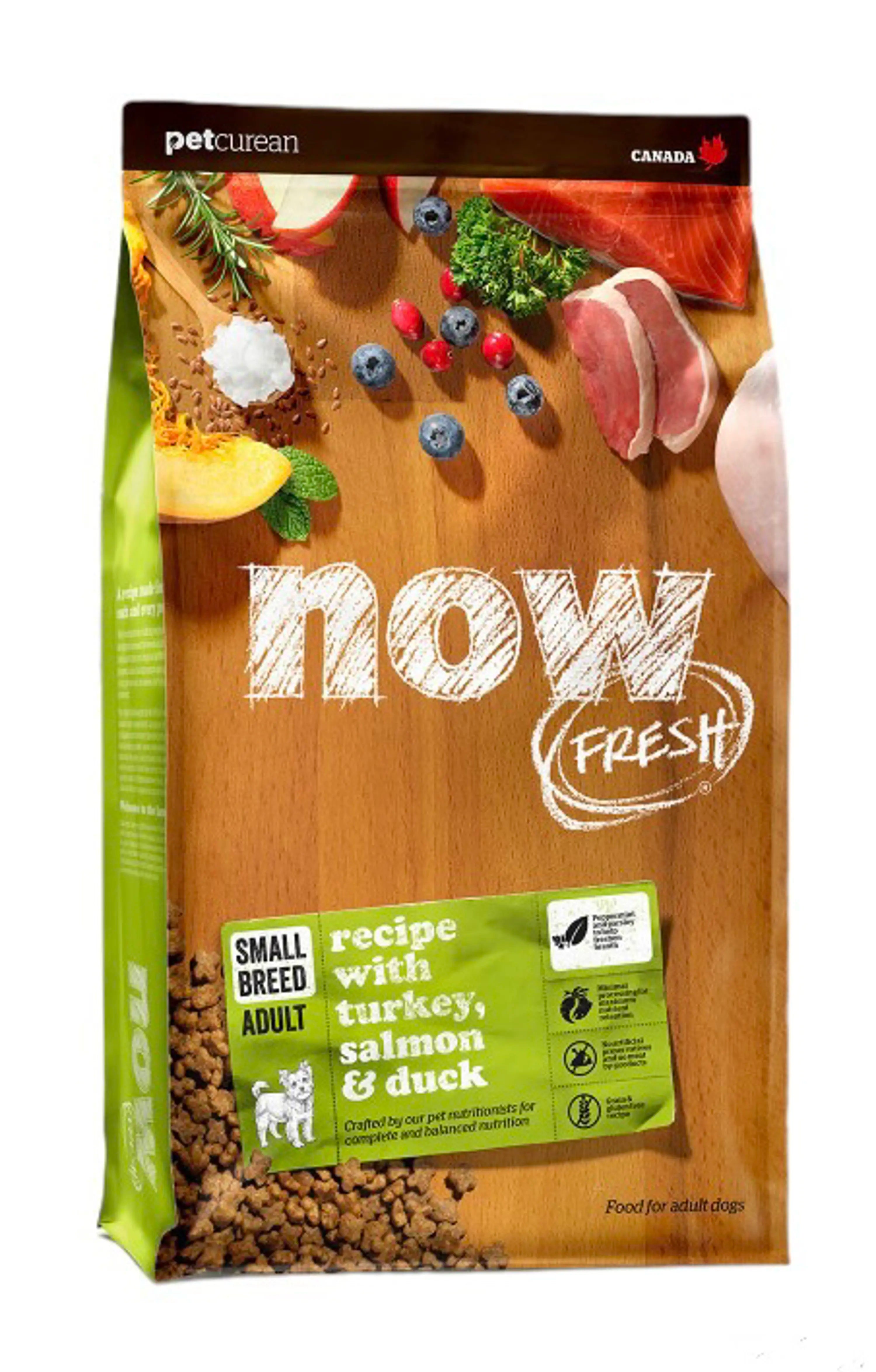 נאו כלב בוגר מיני
