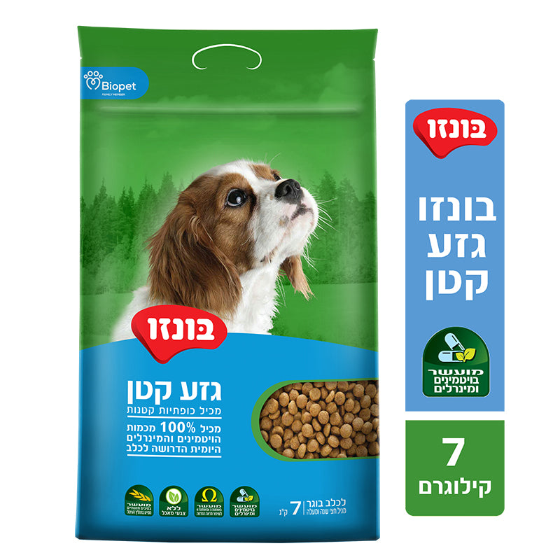 בונזו גזע קטן