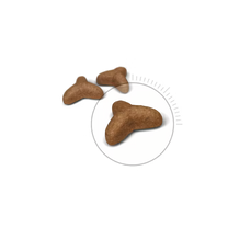רויאל קנין חתול לייט
