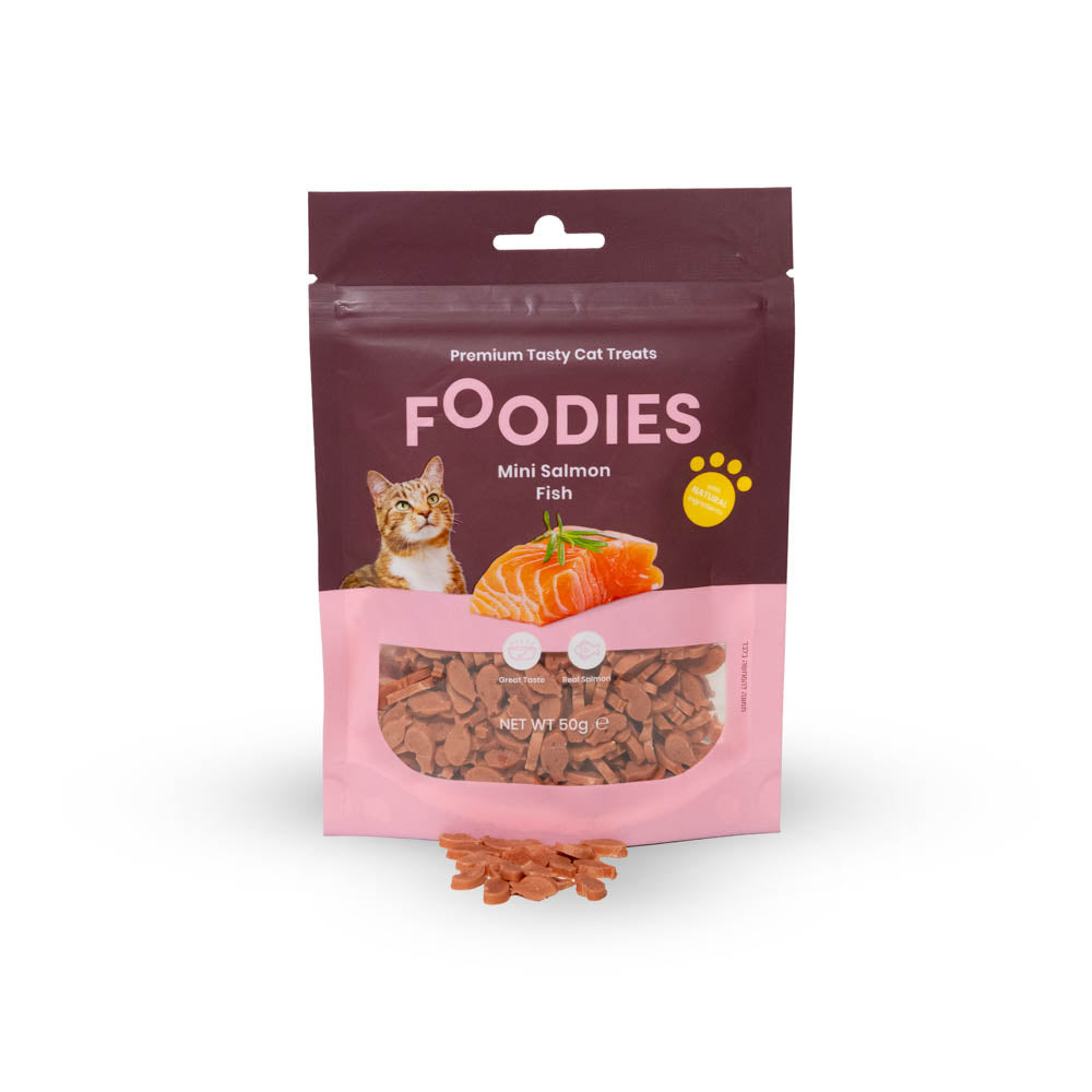 חטיף FOODIES לחתול דגיגוני סלמון 50 גרם