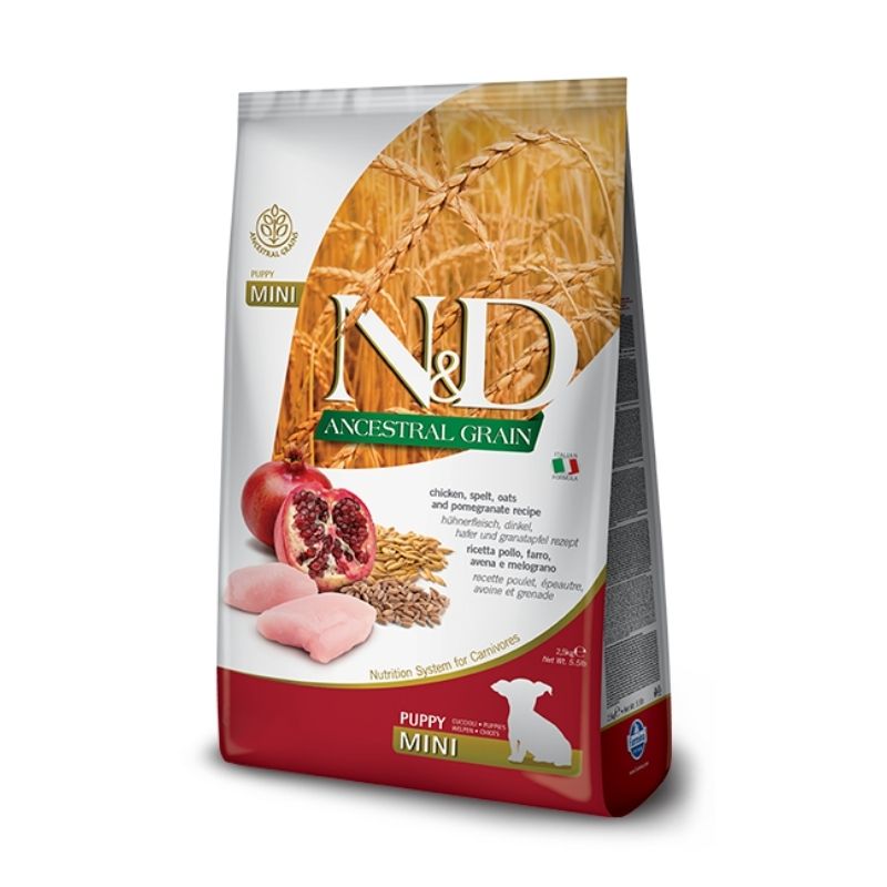 ND כלב גור מיני אנסס עוף רימון