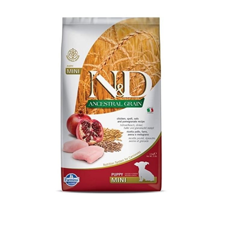 ND כלב גור מיני אנסס עוף רימון